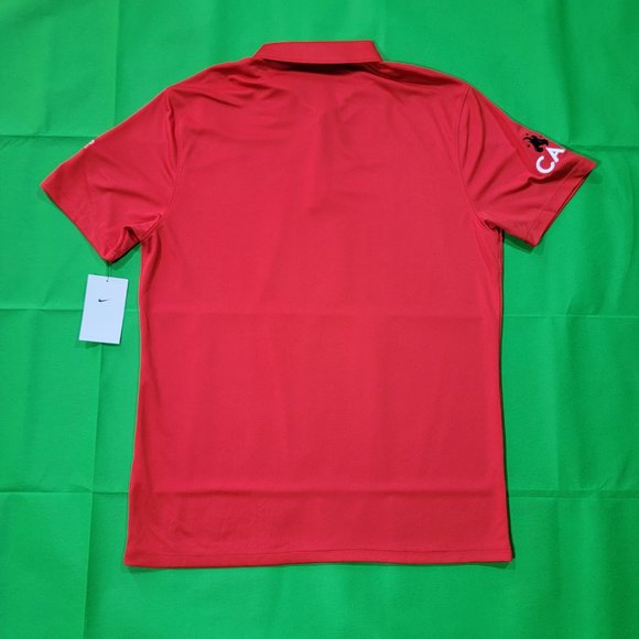 Nike Mens Polo Golf with Flat Knit Collar 838956 Sz M - Picture 3 of 6